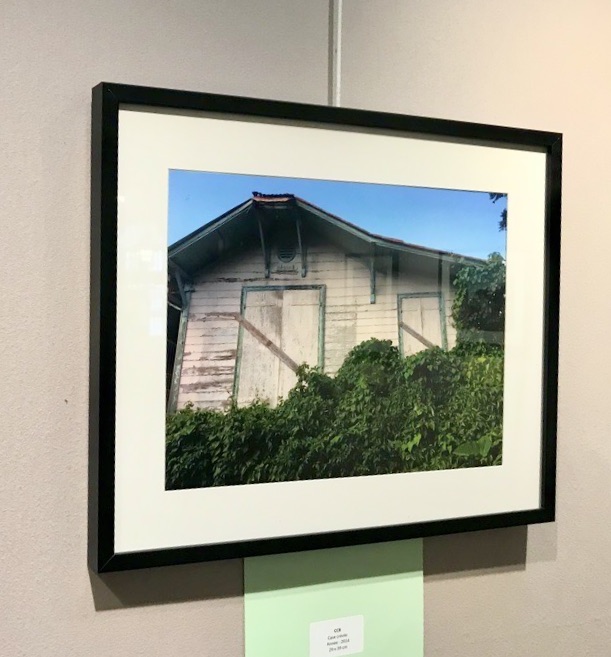 unadjustednonraw thumb 15c37