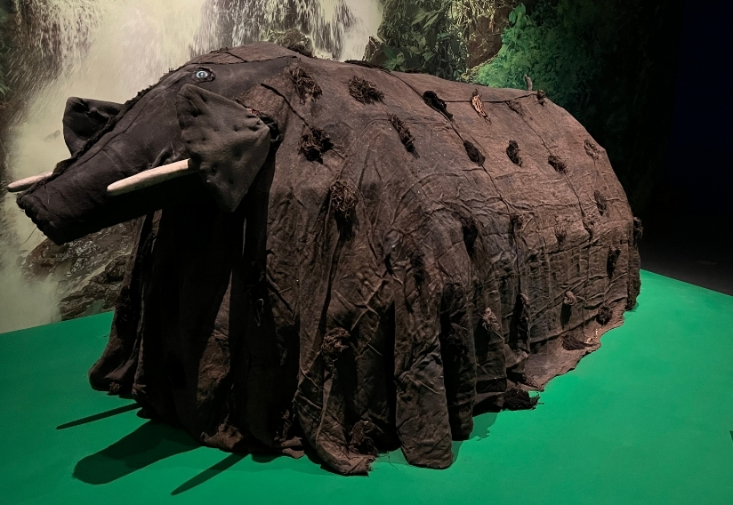 Evènements eléphant symbolique expo la route des chefferies cameroun