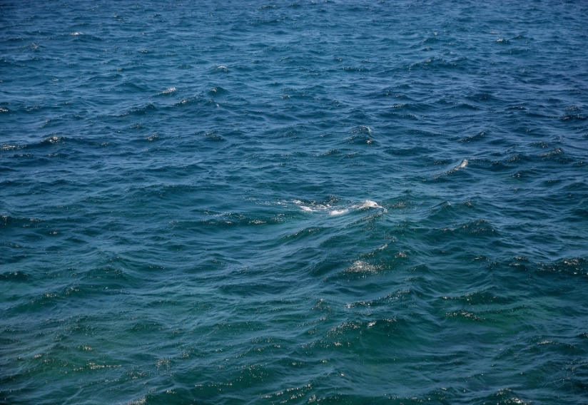 Expos mer basse terre